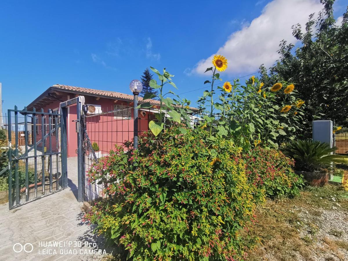 Bed And Breakfast ANNA Bagnara Calabra Exterior foto